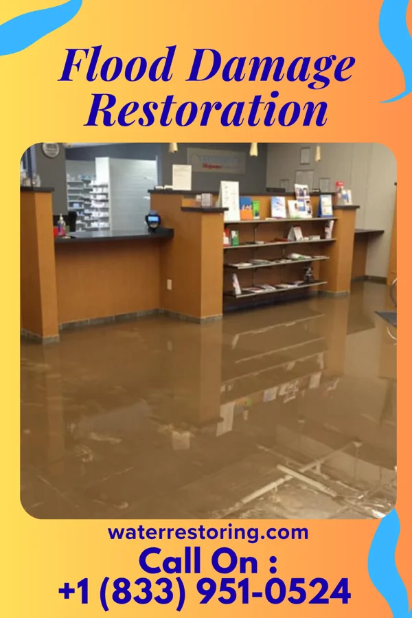 Flood Damage Restoration in Gilbert, LA