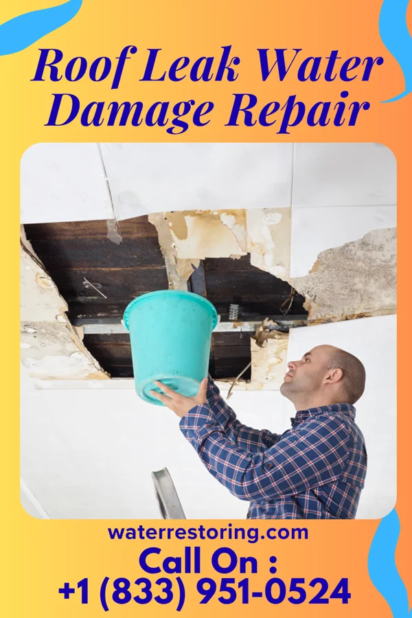 Roof Leak Water Damage Repair in Gilbert, LA